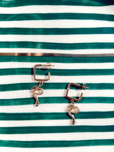 Pendientes Nova